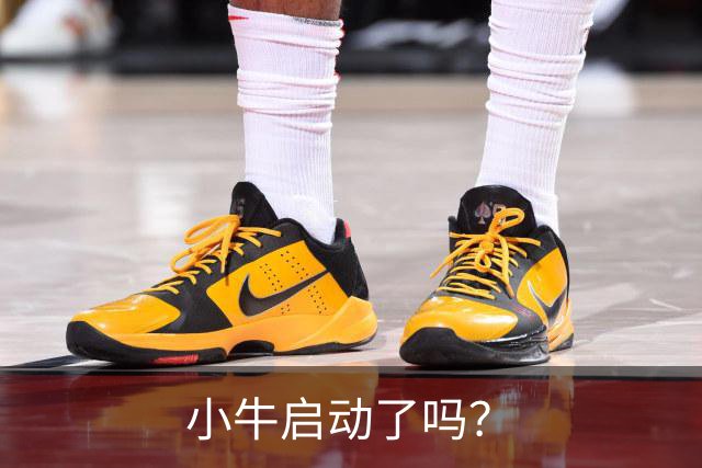 小牛启动了吗？