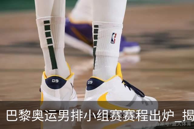 巴黎奥运男排小组赛赛程出炉 揭幕战日本迎战德国